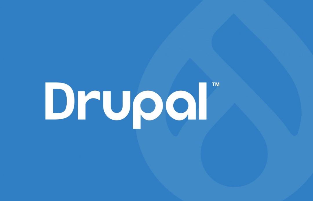 Drupal 9 Logo - Webentwicklung in Berlin